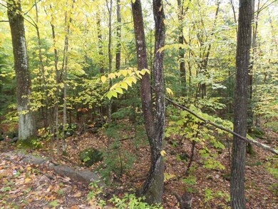 0 Flag Hole Rd, Franklin, NH 03235 - photo 5