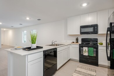 1119 Barbary Fields St, Forney, TX 75126 - photo 6