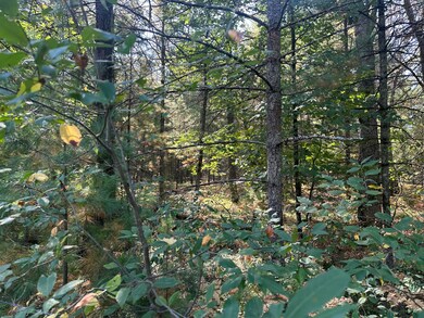 PAR B 16th St, Baldwin, MI 49304 - photo 5