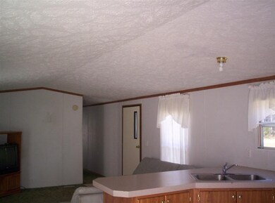 1978 12 Mile Rd, Bitely, MI 49309 - photo 2