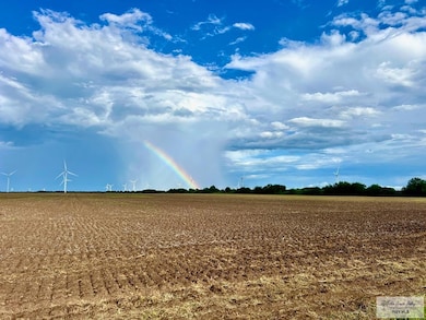 10 Ac (Tr 1) Primrose Rd, Lyford, TX 78569 - photo 2