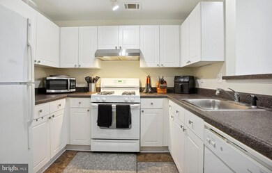 11350 Aristotle Dr unit 7-404, Fairfax, VA 22030 - photo 7