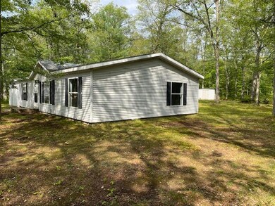 11662 N Bingham Ave, Bitely, MI 49309 - photo 4