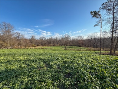 0 Homestead Dr unit 5174212, New Concord, OH 43762 - photo 3