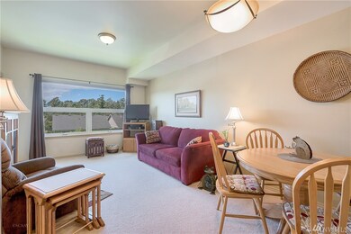 516 Darby Dr unit 310, Bellingham, WA 98226 - photo 7