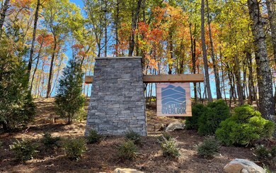Additional View