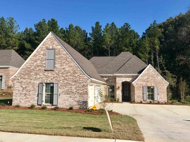 110 Brisco St, Madison, MS 39110 - photo 3