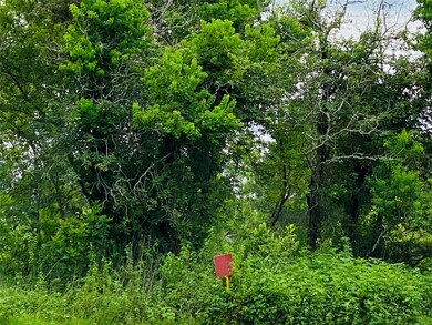 4698 Duchess Lane County Road 305, Alvin, TX 77511 - photo 4