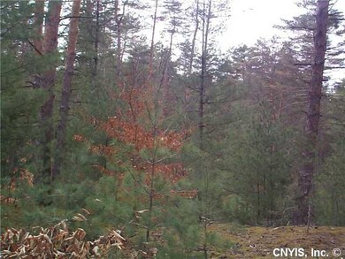 Other Another land view