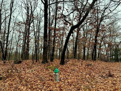 Lot 19 Block 8 Letchworth Dr, Bella Vista, AR 72714 - photo 2