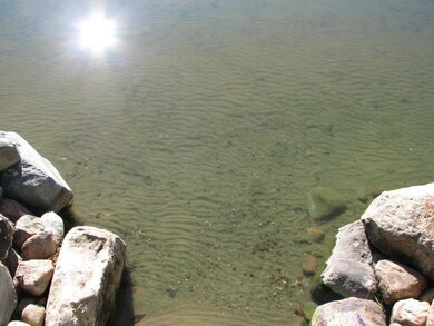 Sandy swimming
