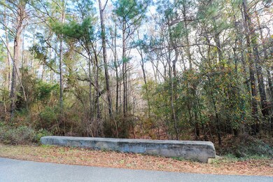 2200 Wyndham Way, Bainbridge, GA 39819 - photo 3