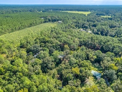 59 Andrew Ln, Crawfordville, FL 32327 - photo 6