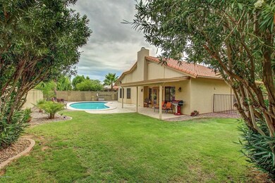 Back yard