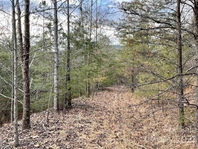 11 Hamlet Dr unit 11-12, Burnsville, NC 28714 - photo 3