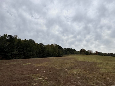 000 Lee Cove, Bryant, AR 72103 - photo 6