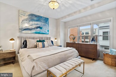 818 N Alfred St, Alexandria, VA 22314 - photo 5