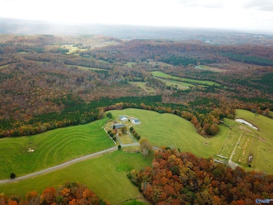 38.37 Acres Latham Rd, Eva, AL 35621 - photo 2