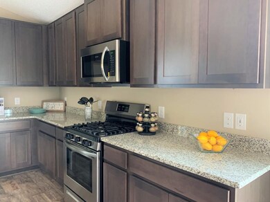 Gorgeous natural granite counters and stainless ap
