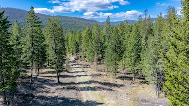 380 Viano Ln, Kalispell, MT 59901 - photo 3