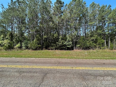 00 Hightower Rd, Fort Lawn, SC 29714 - photo 3