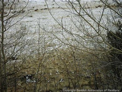 Land/Lot.