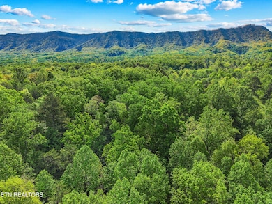 008-CountyLineRoad-TN-37725-SMALL