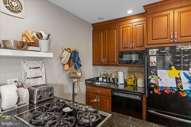 52 E State St unit P & Q, Doylestown, PA 18901 - photo 7