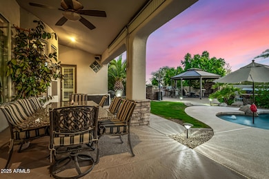 Incredible Backyard!