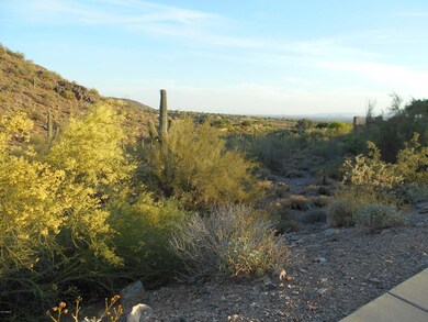 McDowell Preserve across from property.
