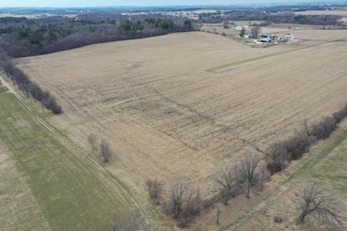 DJI_0296