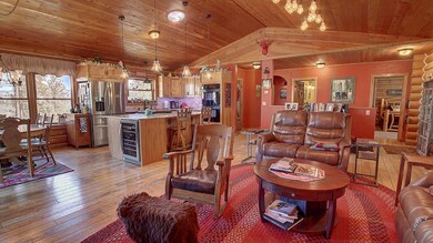 Living Kitchen 1