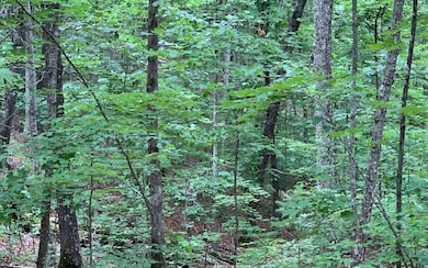 Additional View