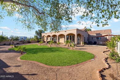 Large backyard
