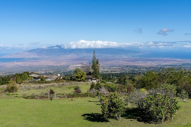 17850 Haleakala Hwy unit 1, Kula, HI 96790 - photo 4