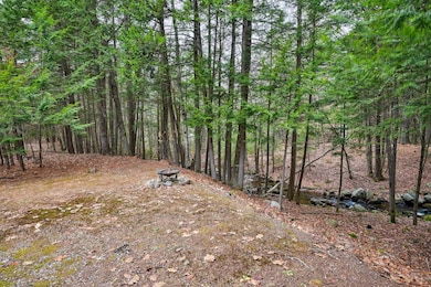 28 Grachen Dr, Madison, NH 03849 - photo 7