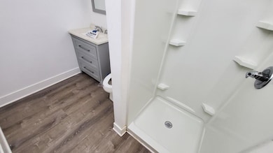 913 N Monroe St, Lowell, MI 49331 - photo 6