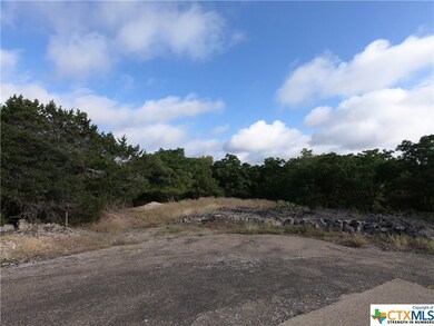 15716 Salado Dr, Temple, TX 76502 - photo 4