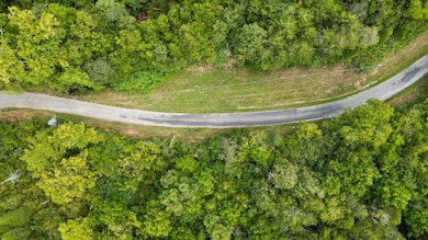 1216 Shoal Creek Rd, Tellico Plains, TN 37385 - photo 4