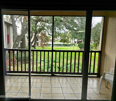 View from Living Room