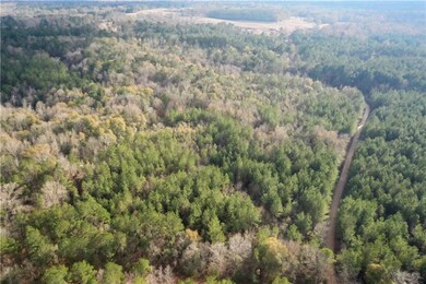 0 Jimi Brumfield Rd, Franklinton, LA 70438 - photo 6