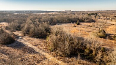 Tract 5 Rooster Rd, Conway, AR 72032 - photo 4