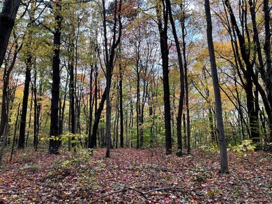 0 Revenge Rd SW unit 20 221045212, Lancaster, OH 43130 - photo 7