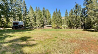 IMG_0705