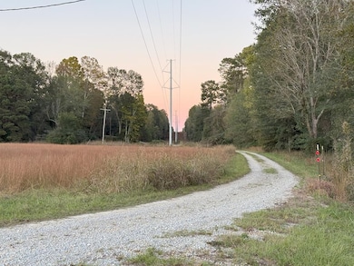 225 Frost Ln, Bude, MS 39630 - photo 3