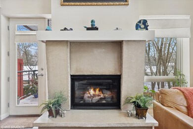 13595 Red Arrow Hwy unit 5, Harbert, MI 49115 - photo 2