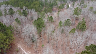 DJI_0567