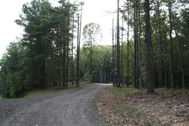 Lot 44 Old Saint Clair Rd unit Pipestem Pointe, Lovern, WV 25979 - photo 3
