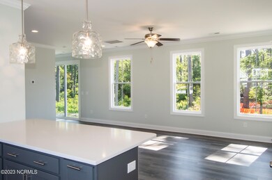 508 Goldeneye Ct, Beaufort, NC 28516 - photo 5