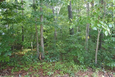 Lot 36 N Shady Lane Loop, Clarkrange, TN 38553 - photo 5